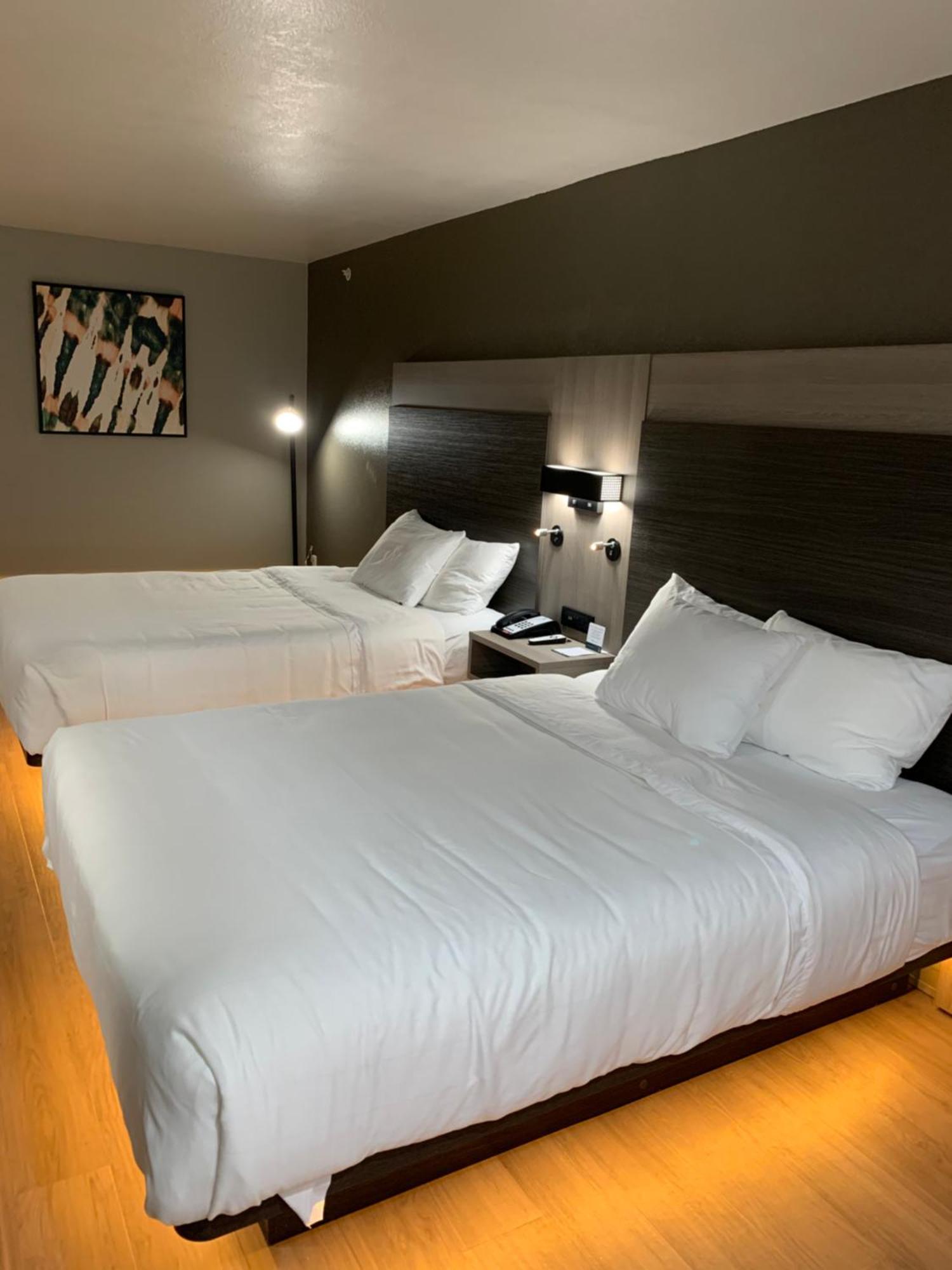 Quality Inn & Suites North Mesquite I-30 Habitación foto